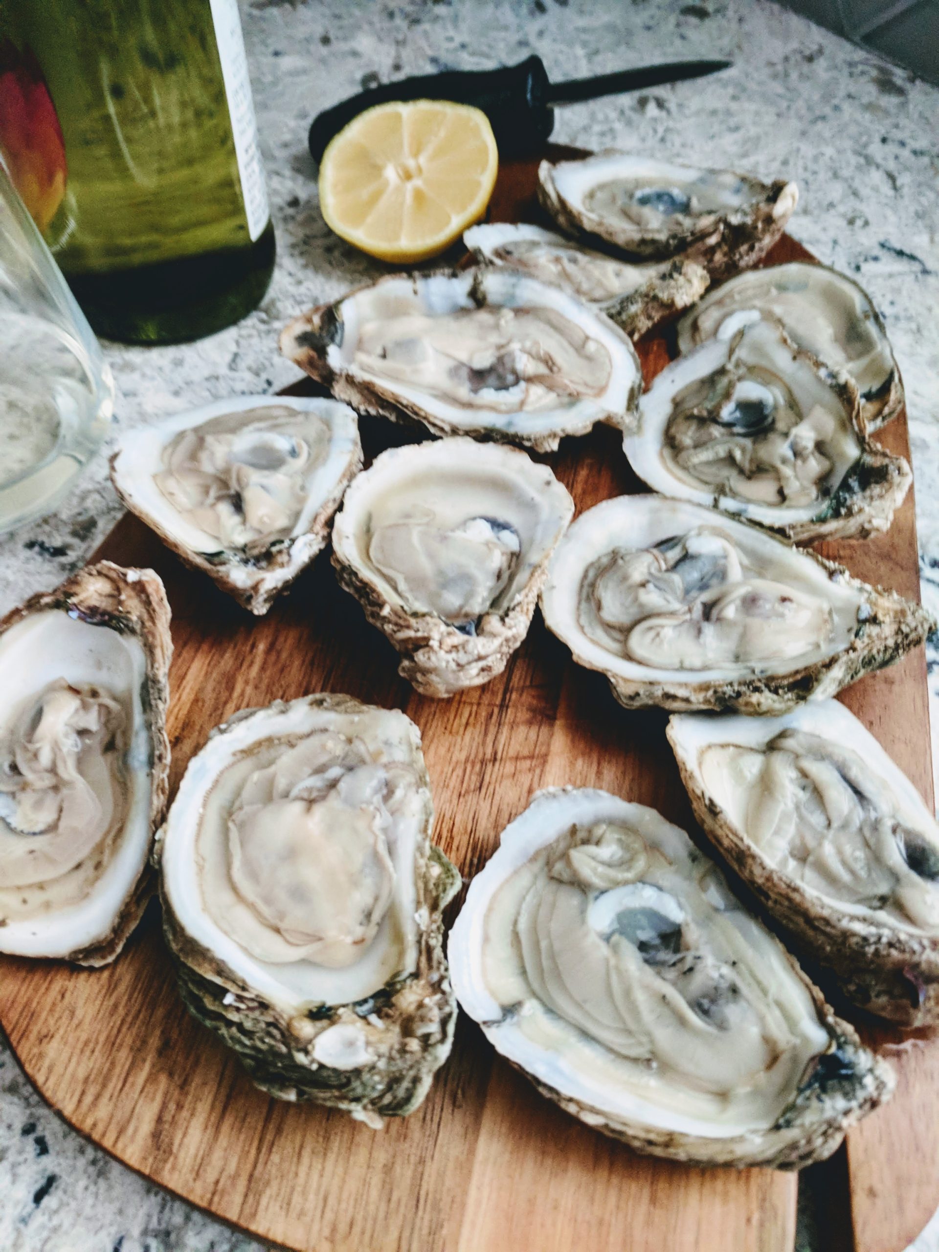 Oysters on the half shell