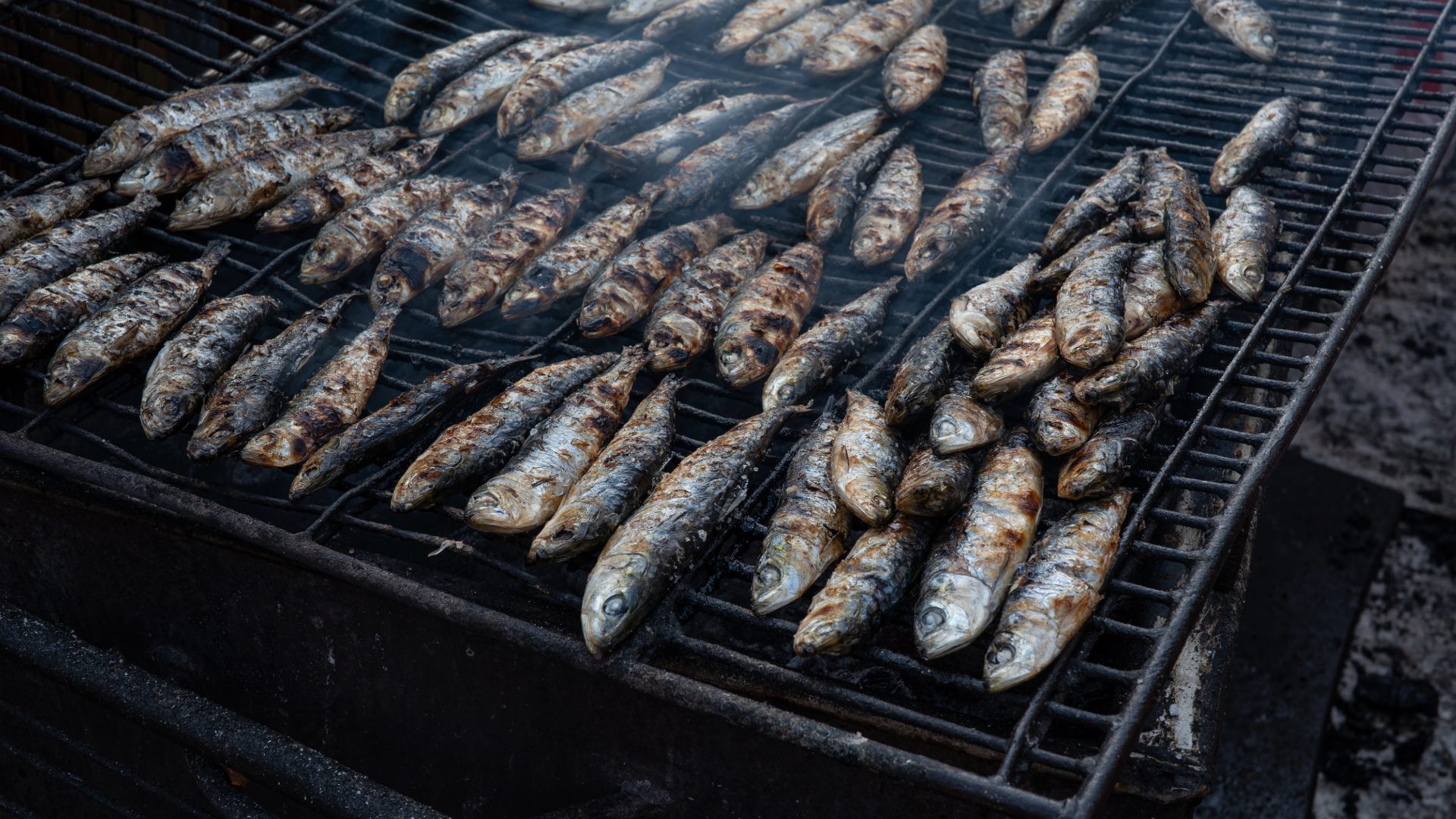Grilled Sardines Portugal